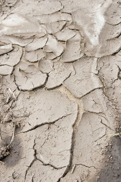 stock image Grey dry land with cracks close up