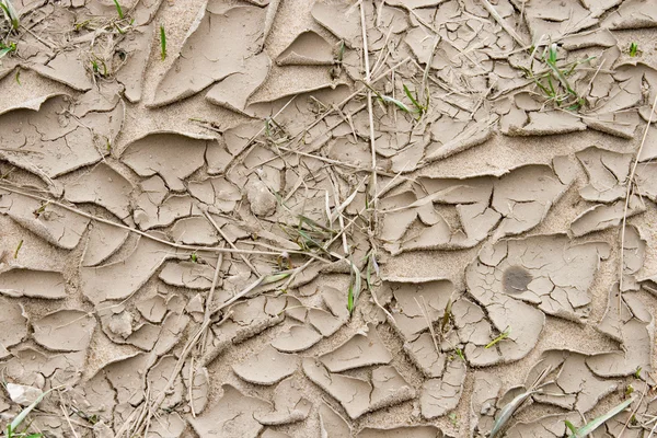 Γκρι ξηρό έδαφος — Φωτογραφία Αρχείου