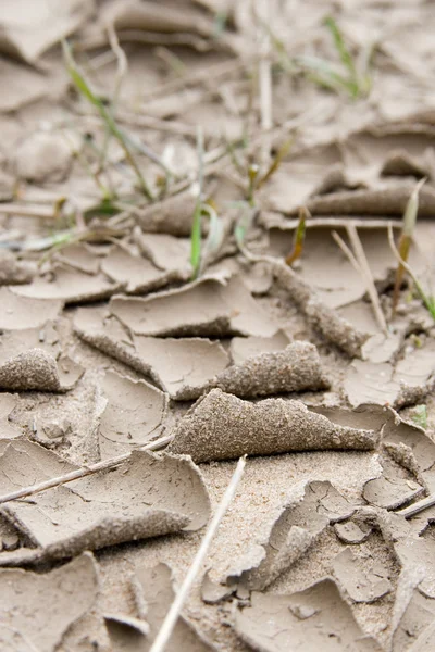 Γκρι ξηρό έδαφος — Φωτογραφία Αρχείου