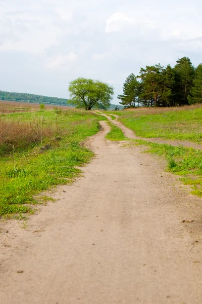 Dirt road and the old oak tree — Stock Photo, Image