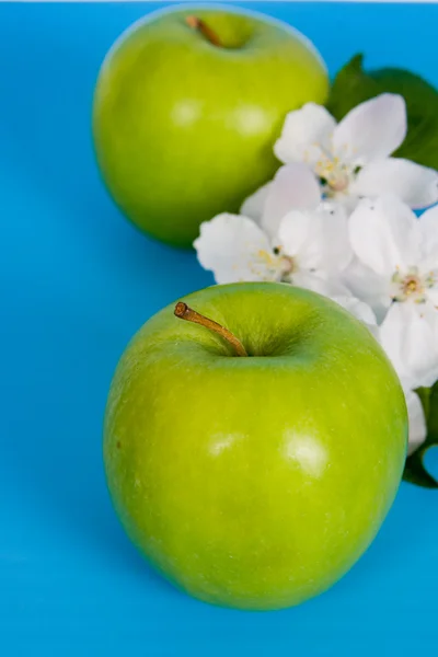 Apples and white flowers — Stock Photo, Image