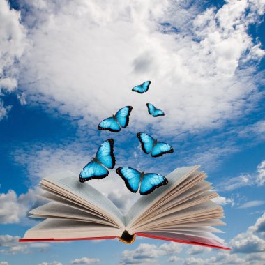 Open book and butterflies clipart