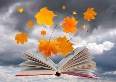 Open book and maple leaves clipart
