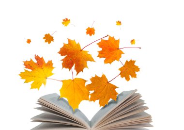 açık bir kitap ve akçaağaç yaprağı