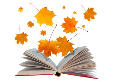açık bir kitap ve akçaağaç yaprağı