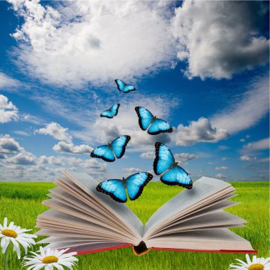 açık bir kitap ve kelebekler
