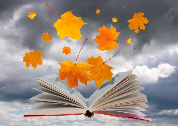 stock image Open book and maple leaves