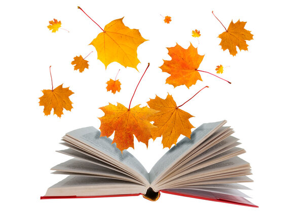 Open book and maple leaves