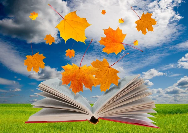 stock image Open book and maple leaves