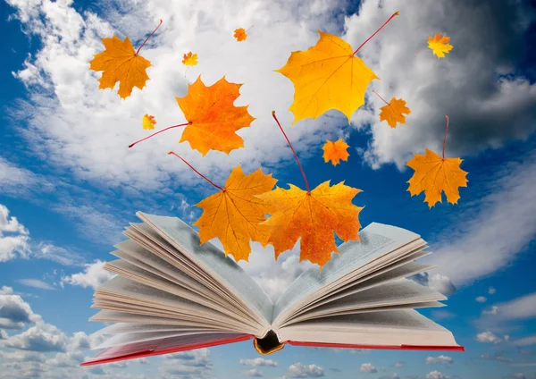 stock image Open book and maple leaves