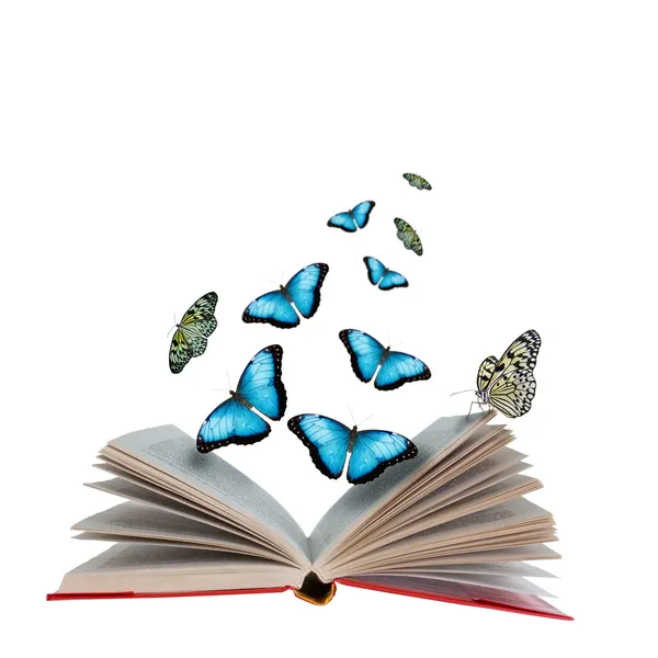 açık bir kitap ve kelebekler