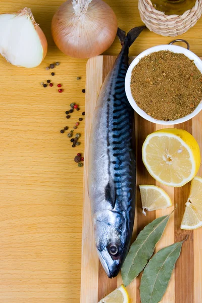 Raw mackerel and spices — Stock Photo, Image