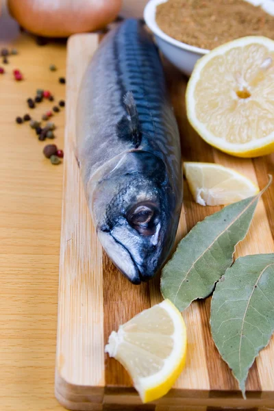 Raw mackerel — Stock Photo, Image