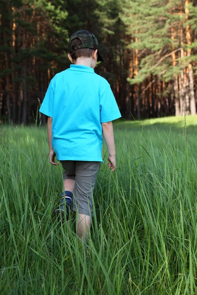 背の高い草の中の少年 — ストック写真