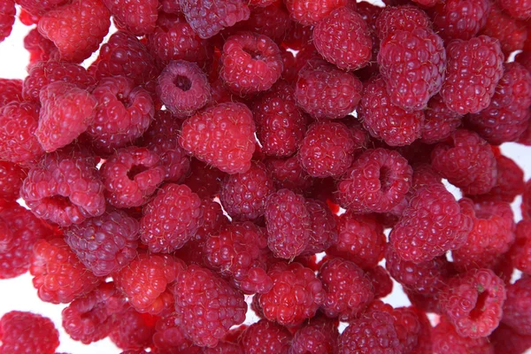 stock image Raspberries