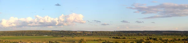 Stock image Summer landscape.