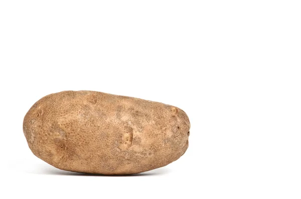 stock image Potato