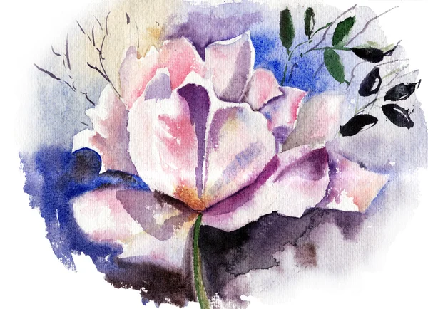 Bellissimo fiore in acquerello — Foto Stock