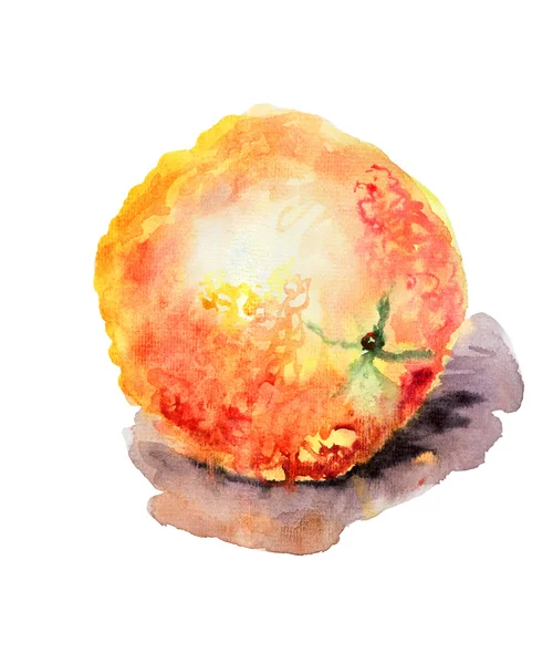 Watercolor illustration of Orange — Stock Photo, Image