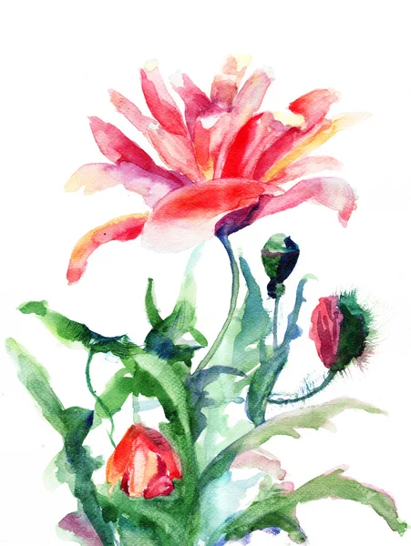 Kleurrijke illustratie met mooie bloemen — Stockfoto