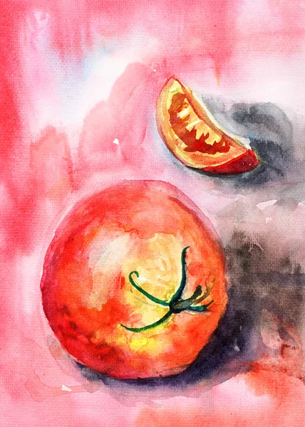 Aquarell-Illustration der roten Tomate — Stockfoto