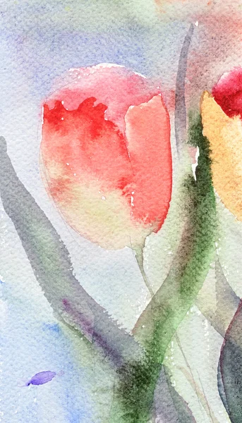 Fondo acuarela con flores de tulipanes estilizadas —  Fotos de Stock
