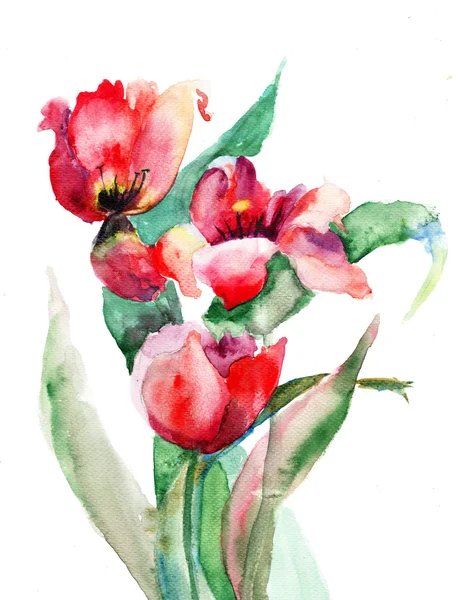 Tulipanes rojos flores —  Fotos de Stock