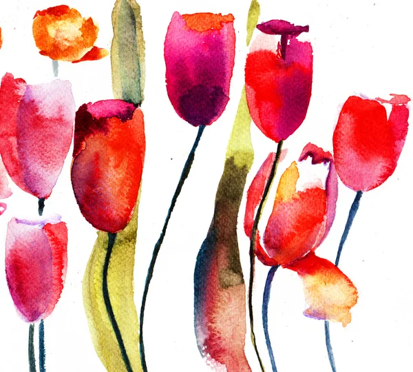 Flores de tulipas vermelhas — Fotografia de Stock