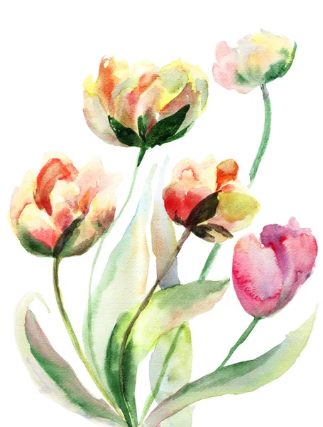 Dekorativní květiny akvarel — Stock fotografie