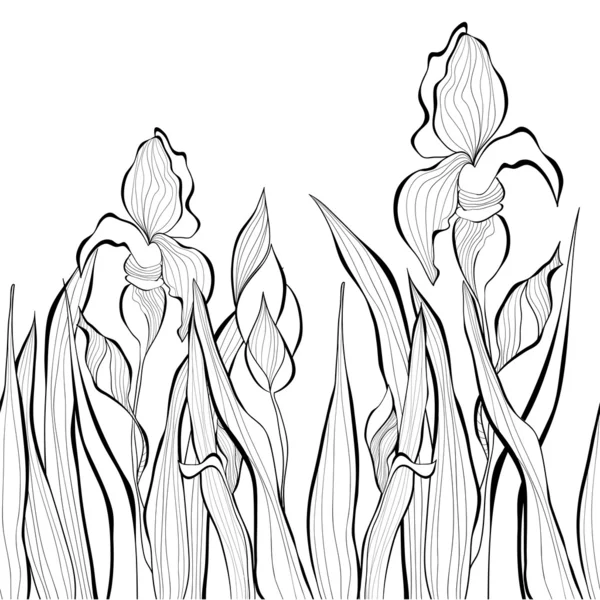 アイリスの花で装飾的なシームレスな境界線 — ストックベクタ