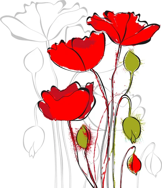 Red Poppy flowers — Stock Vector