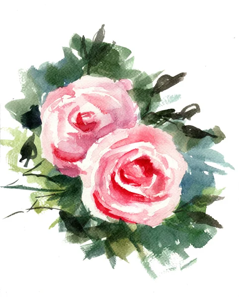 Květy růže — Stock fotografie