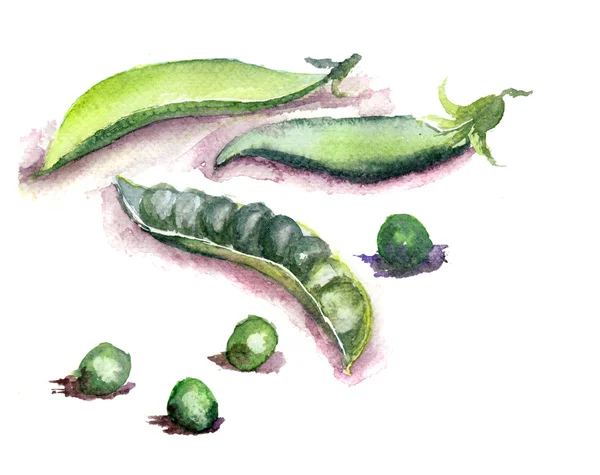 Groch zielony świeży — Zdjęcie stockowe