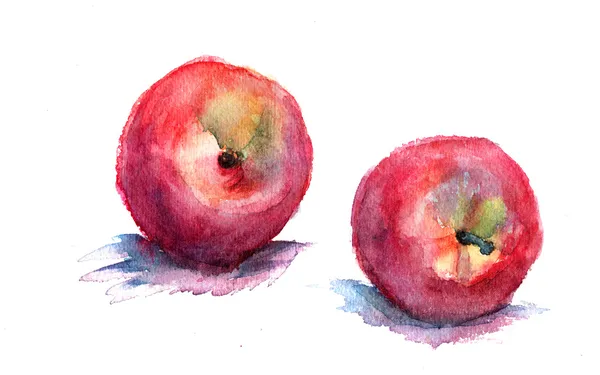 Watercolor illustration of nectarine — Stock Photo, Image