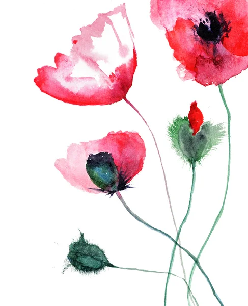 Stylized Poppy flowers — Stock Photo, Image