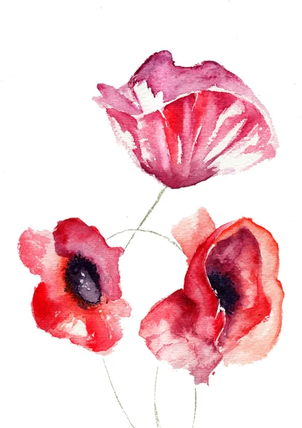 Stilizált Poppy flowers illusztráció — Stock Fotó