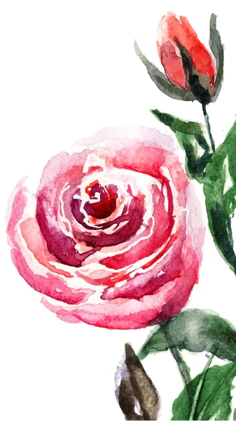Rode rozen bloemen — Stockfoto