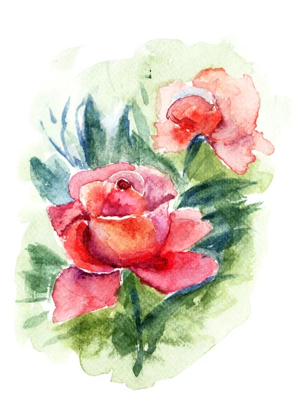 Hermosas flores de rosas, pintura de acuarela —  Fotos de Stock