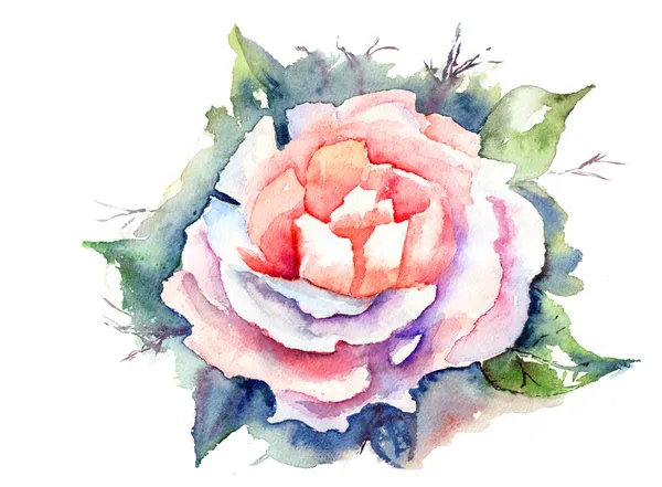 Akvarel ilustrace krásné květiny — Stock fotografie