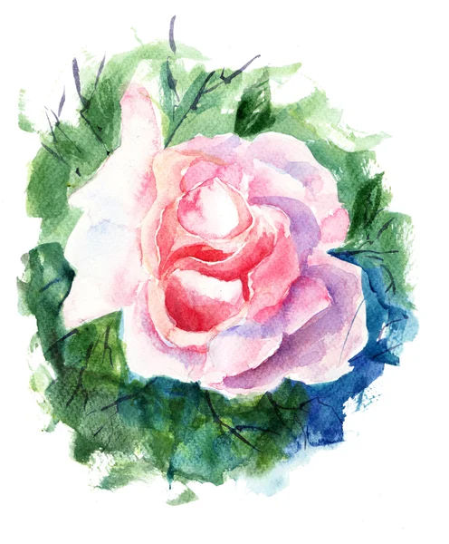 Όμορφα τριαντάφυλλα λουλουδιών — Φωτογραφία Αρχείου