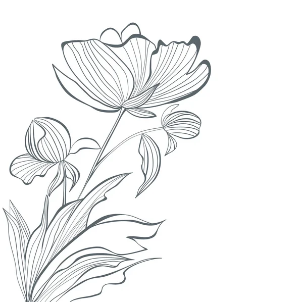 様式化された牡丹の花 — ストックベクタ