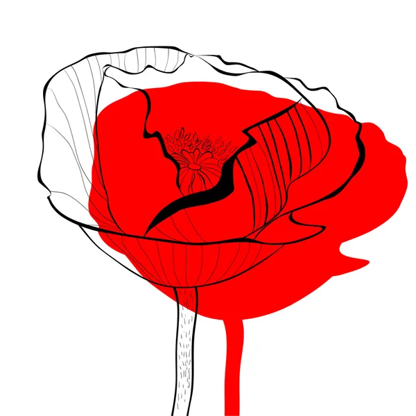 Stilizált Poppy flowers illusztráció — Stock Vector