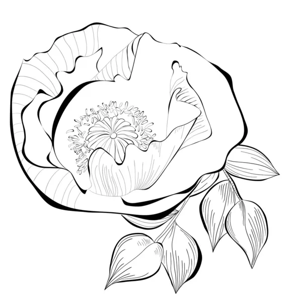 Svartvit illustration av stiliserad blomma — Stock vektor