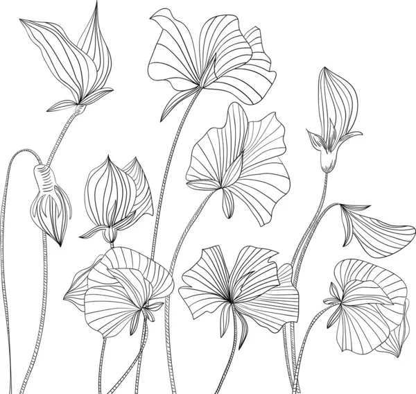 甘いエンドウ豆の花 — ストックベクタ