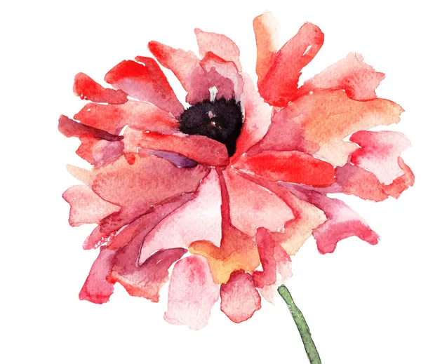 Стилизованная иллюстрация цветов мака — стоковое фото
