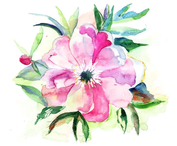 Flor rosa estilizada, ilustração aquarela — Fotografia de Stock