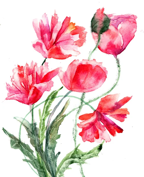 Illustrazione stilizzata di fiori di papavero — Foto Stock