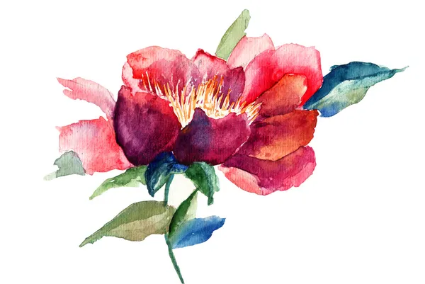 Διακοσμητικό λουλούδι κόκκινο, ακουαρέλα, εικονογράφηση — Φωτογραφία Αρχείου