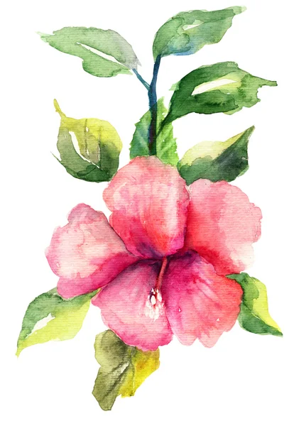 Kwiat stylizowane malva — Zdjęcie stockowe