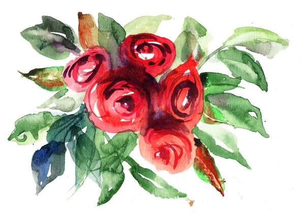 Belles fleurs Roses, Aquarelle peinture — Photo